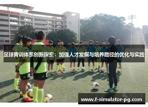 足球青训体系创新探索：加强人才发掘与培养路径的优化与实践