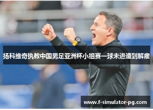 扬科维奇执教中国男足亚洲杯小组赛一球未进遭到解雇 扬科维奇执教中国男足亚洲杯小组赛一球未进遭到解雇