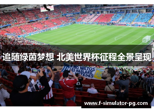 追随绿茵梦想 北美世界杯征程全景呈现 追随绿茵梦想 北美世界杯征程全景呈现