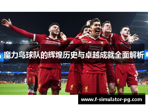 魔力鸟球队的辉煌历史与卓越成就全面解析